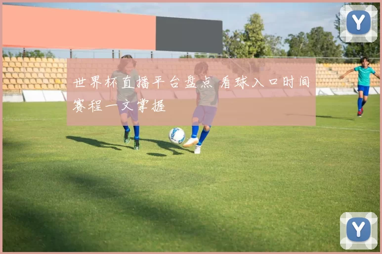 世界杯直播平台盘点 看球入口时间赛程一文掌握