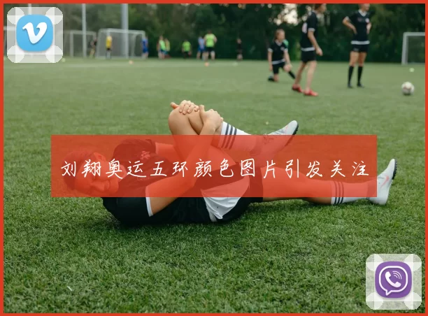 刘翔奥运五环颜色图片引发关注