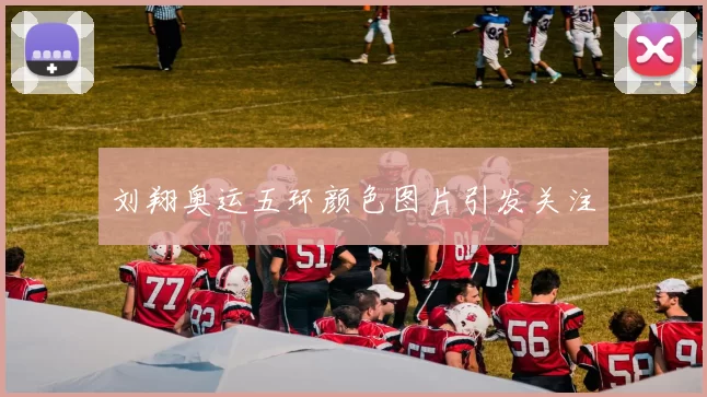 刘翔奥运五环颜色图片引发关注