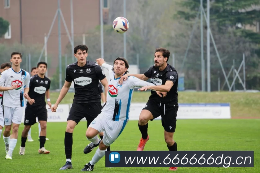 zoty中欧·(中国有限公司)官方网站APP 封面图